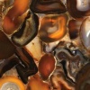 Коллекция Concetto (заказ) - 8310 Brown Agate